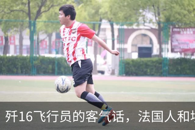 歼16飞行员的客气话，法国人和埃及人可能要当真了？我国飞行员表示，阵风战机近距能力确实要强，飞机机动性确实要强！